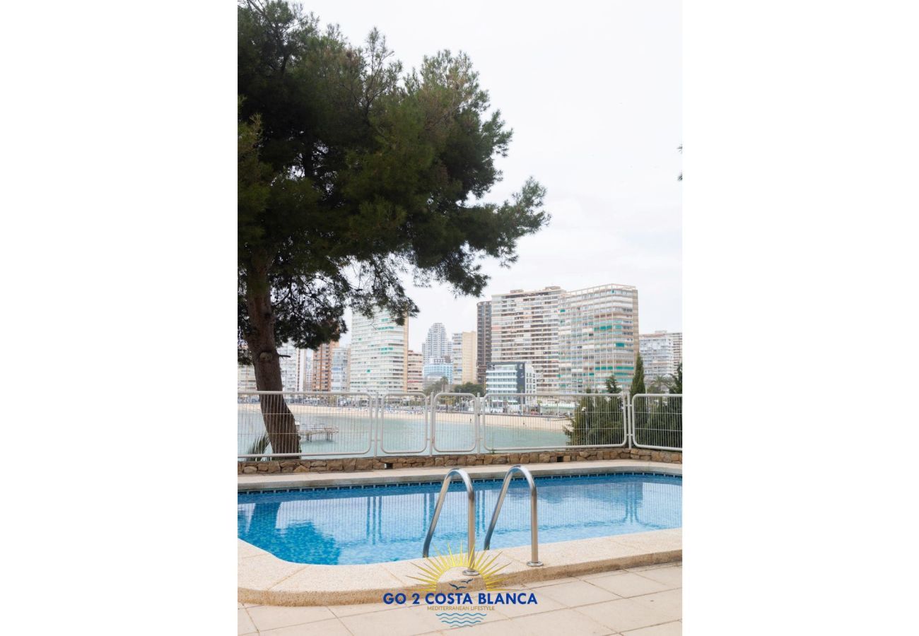 Apartamento en Benidorm -  Carpe Diem 7