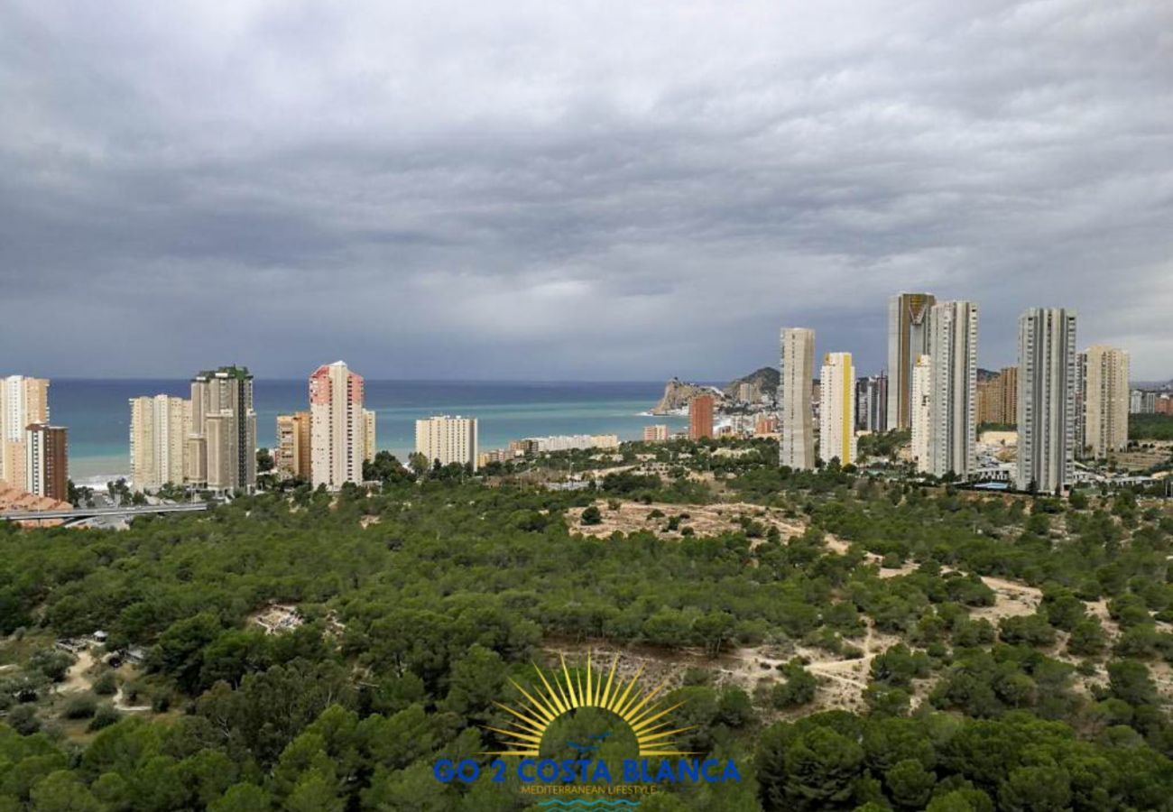 Apartamento en Benidorm -  Apartamento Torre VII