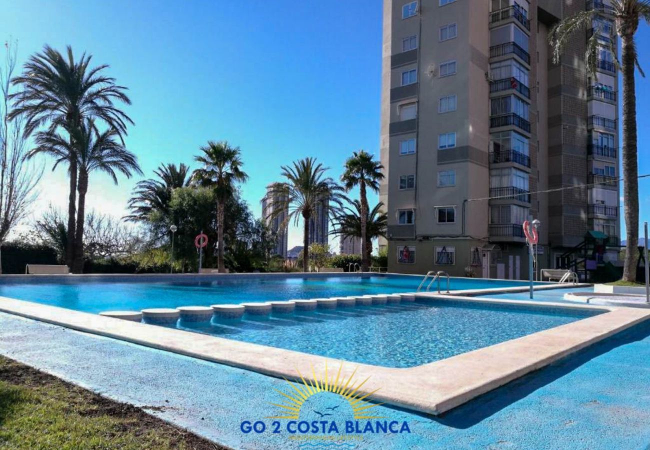 Apartamento en Benidorm -  Apartamento Torre VII