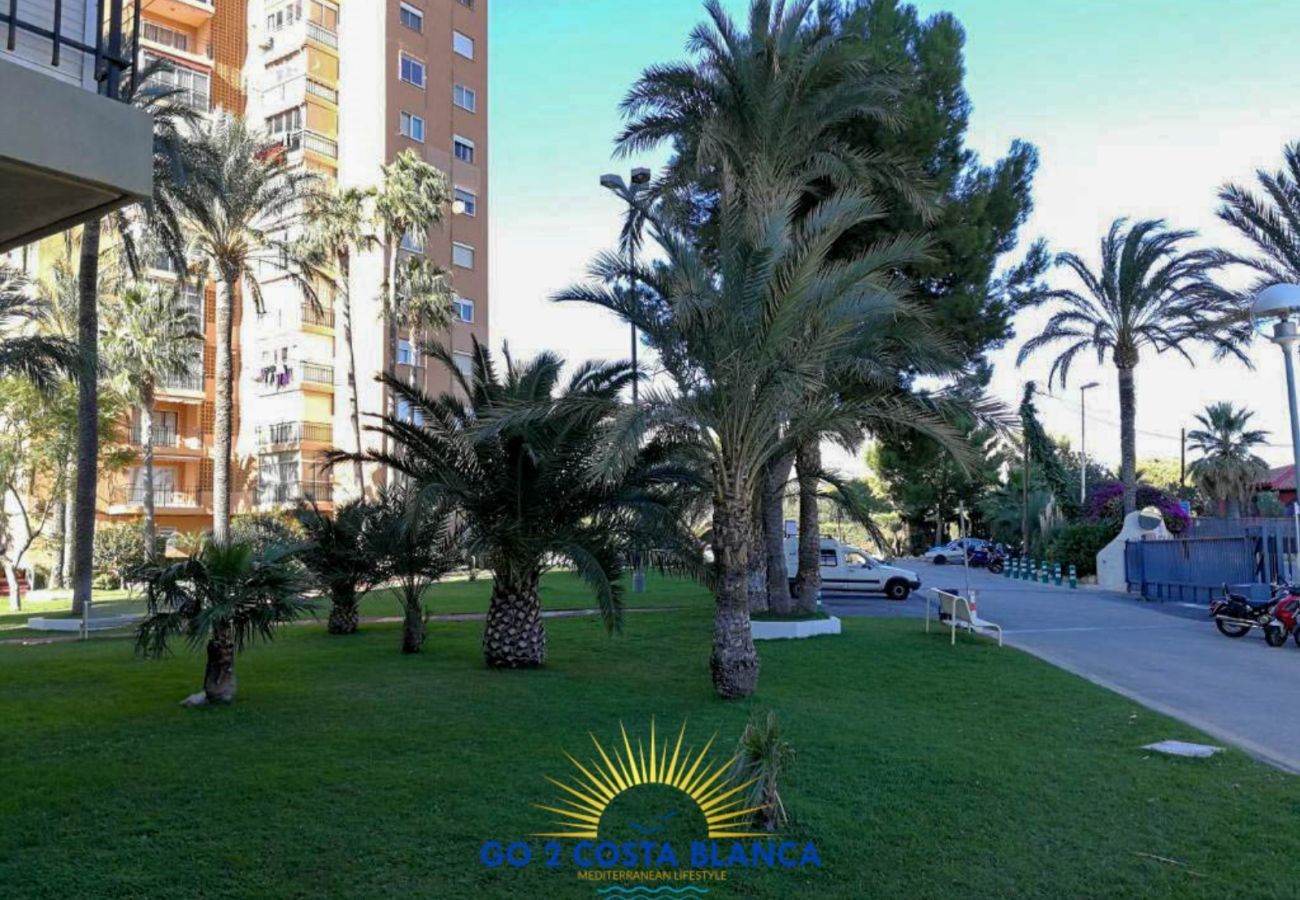 Apartamento en Benidorm -  Apartamento Torre VII