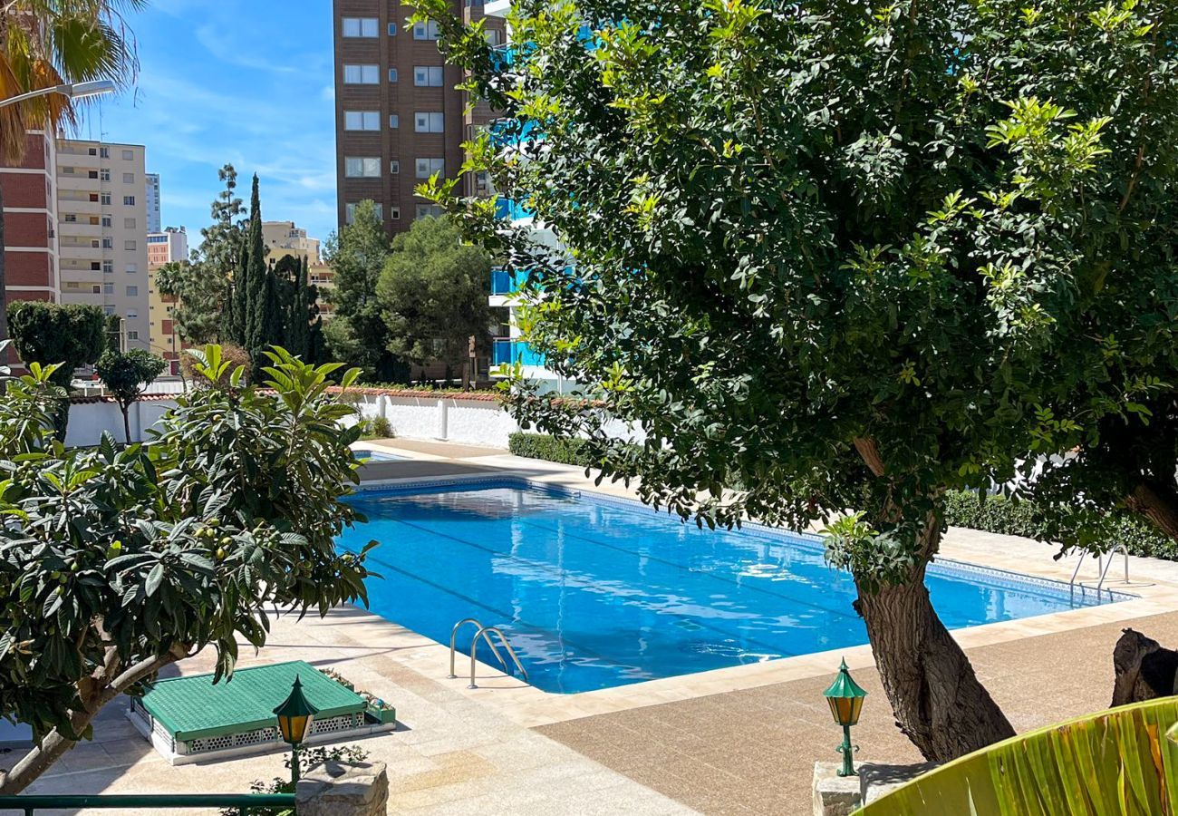 Appartement à Benidorm - Sunflower