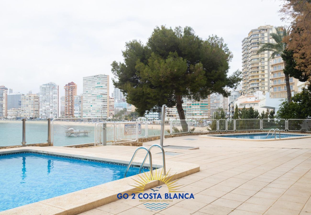 Appartement à Benidorm -  Carpe Diem 9